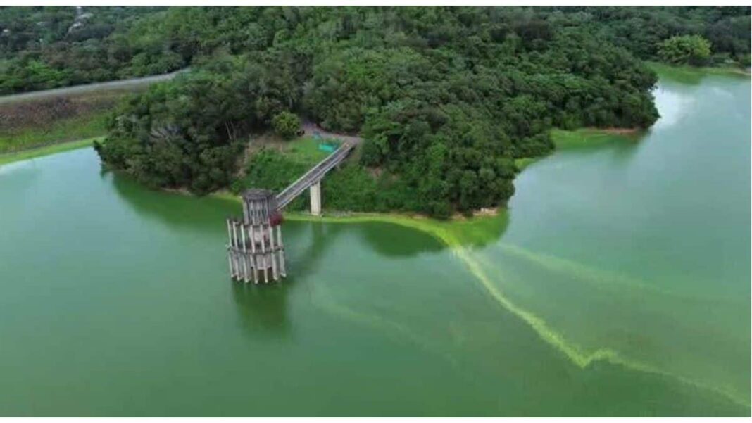 Presa de Hatillo bajo lupa: comisión interinstitucional evalúa denuncias y prepara informe