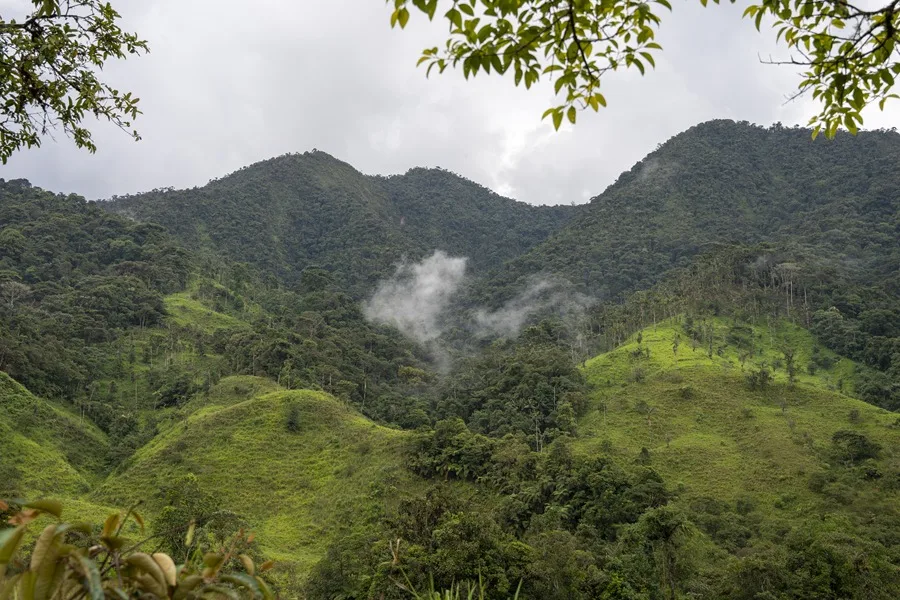 Ecuador destruye 129 campamentos de minería ilegal en un parque nacional cerca de Perú