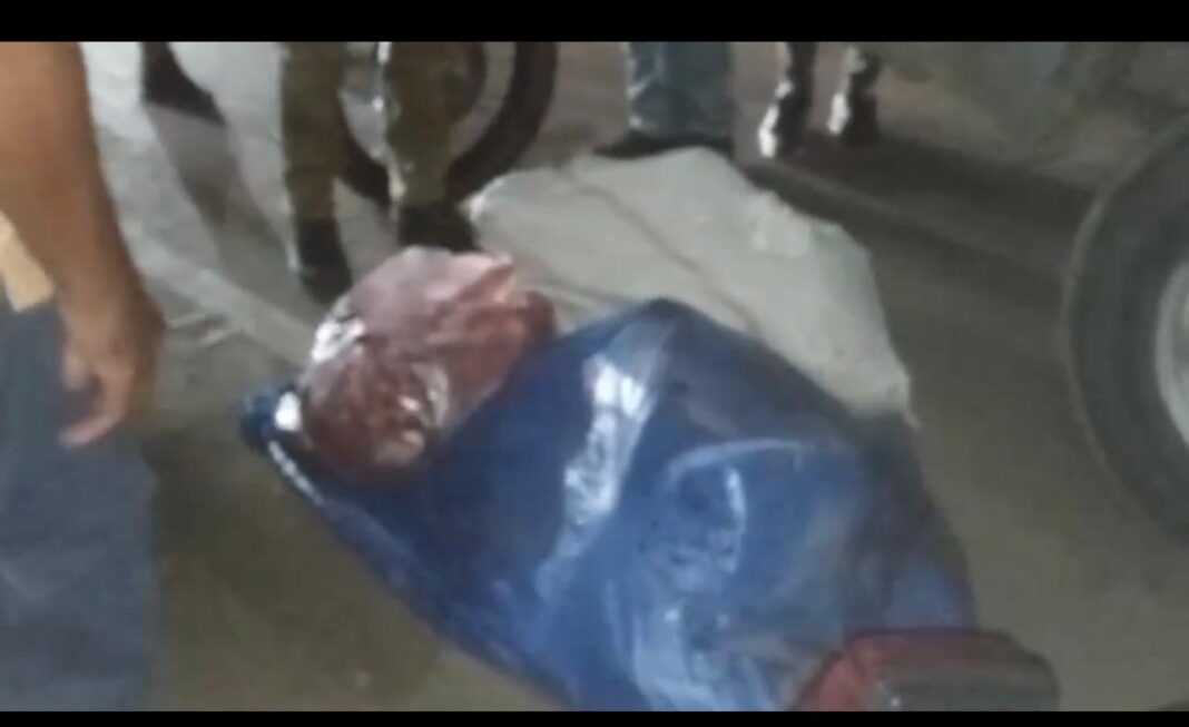 Capturan a presunto cuatrero con varios chivos descuartizados durante operativo en Mao; otro logró escapar