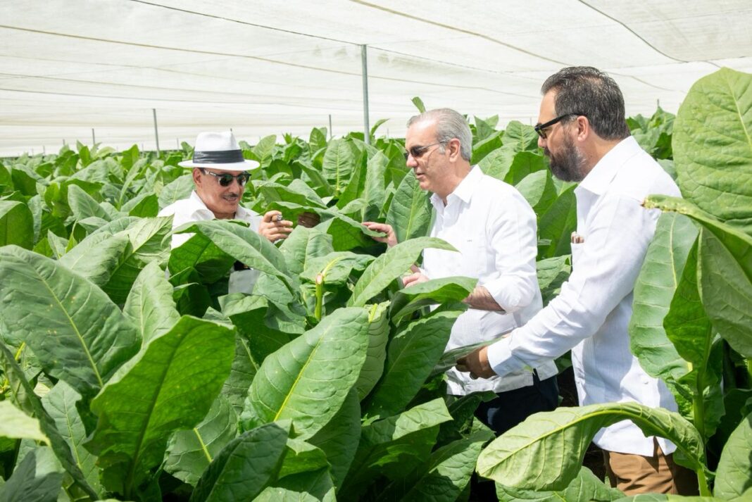 Presidente visita finca tabacalera de Arturo Fuente para replicar su modelo de producción