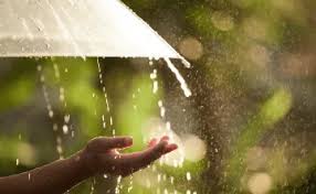 COE eleva alerta verde por lluvias en varias provincias del país