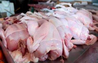 Producción y precios del pollo y el plátano empiezan a normalizarse