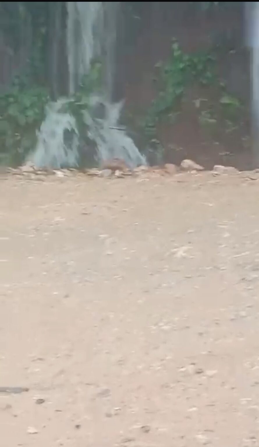 Loma Atravesada: una deuda social de más de 50 años en Las Galeras, Samaná