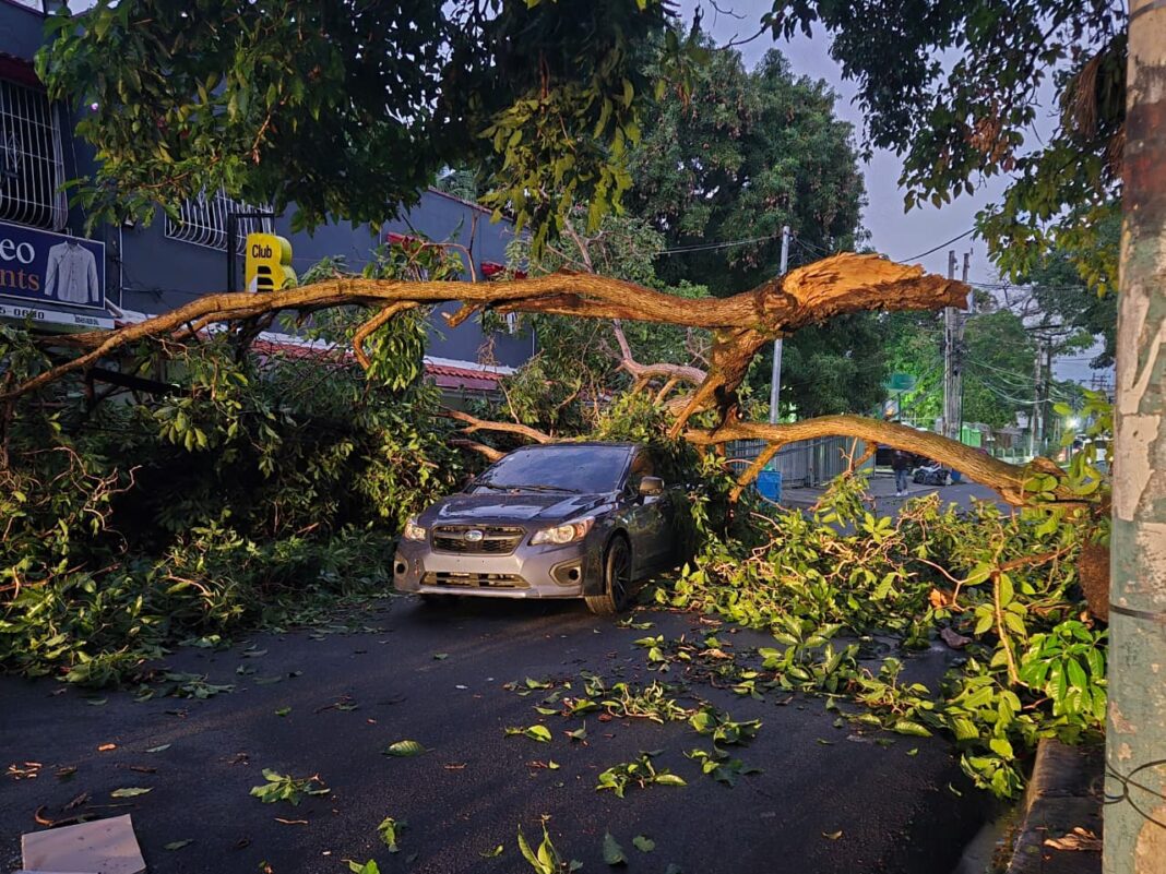 Paredes colapsadas, vehículos afectados y aceras con ramas: el saldo del ventarrón en el Distrito Nacional