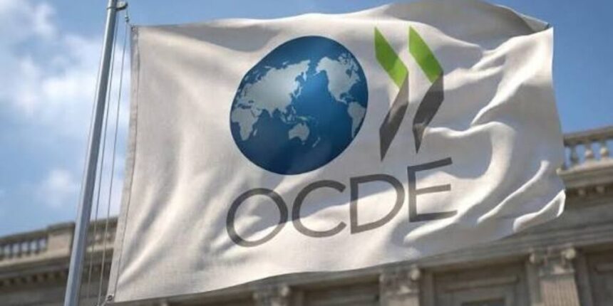 Un 6 % de las tecnológicas en la OCDE creadas sólo por mujeres, frente al 80 % por hombres